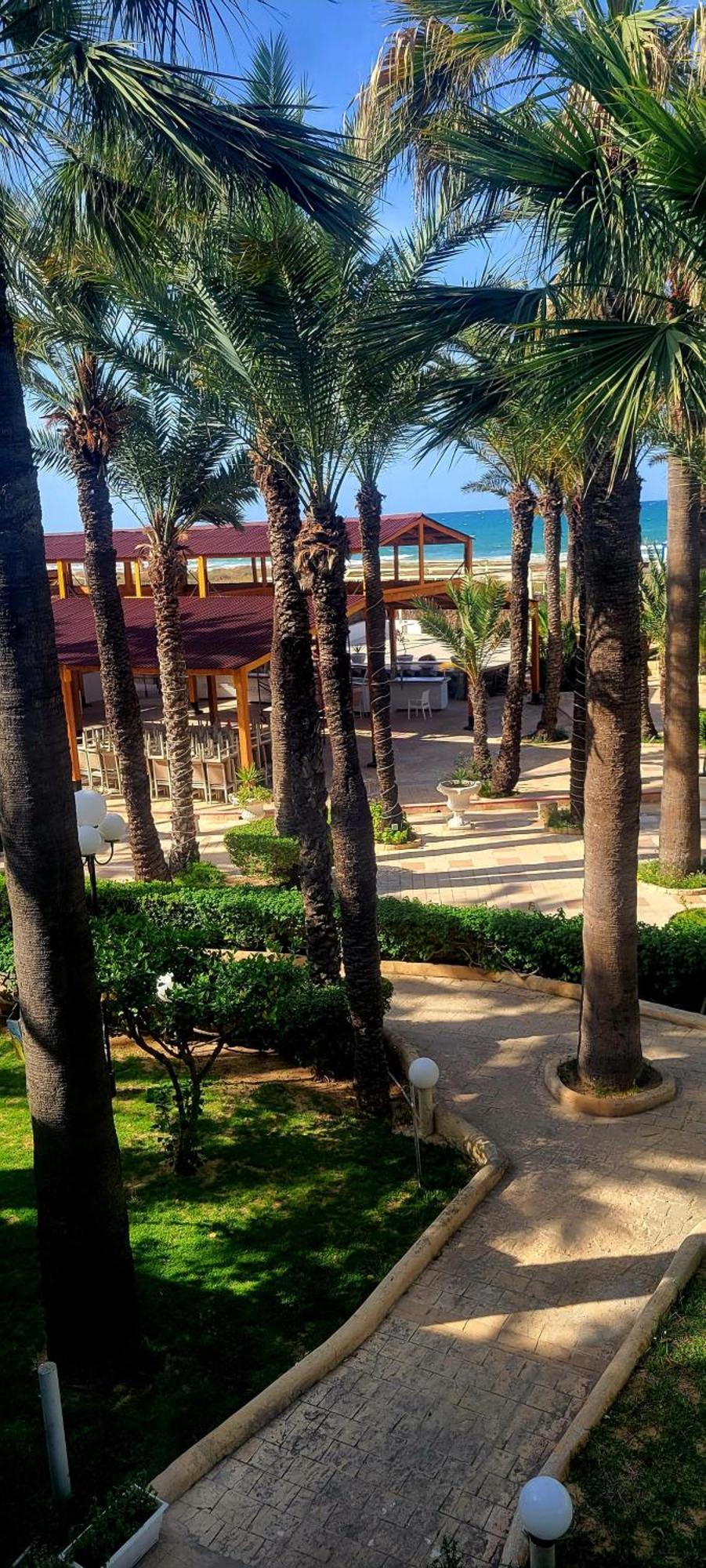 Riadh Palms- & Sousse