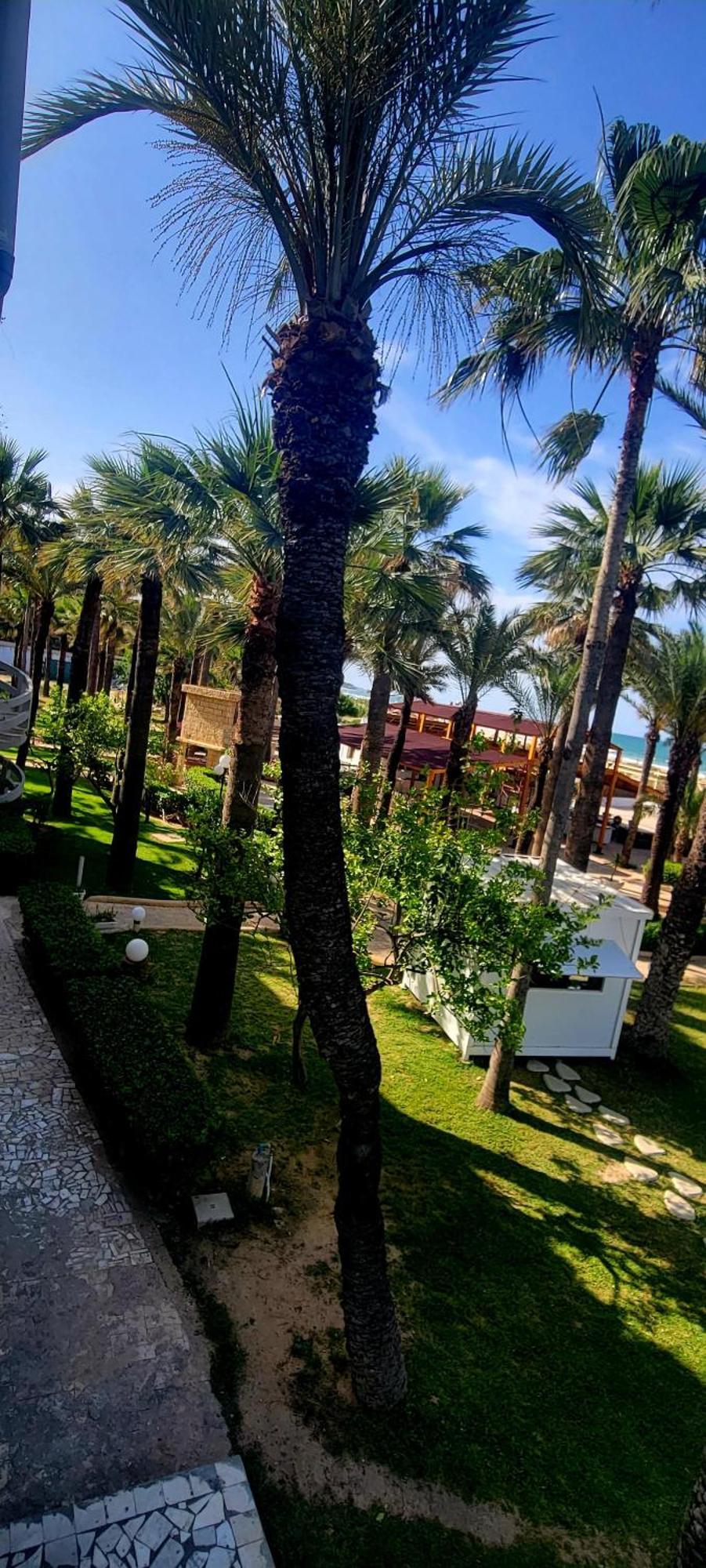 Hotel Riadh Palms- & Sousse