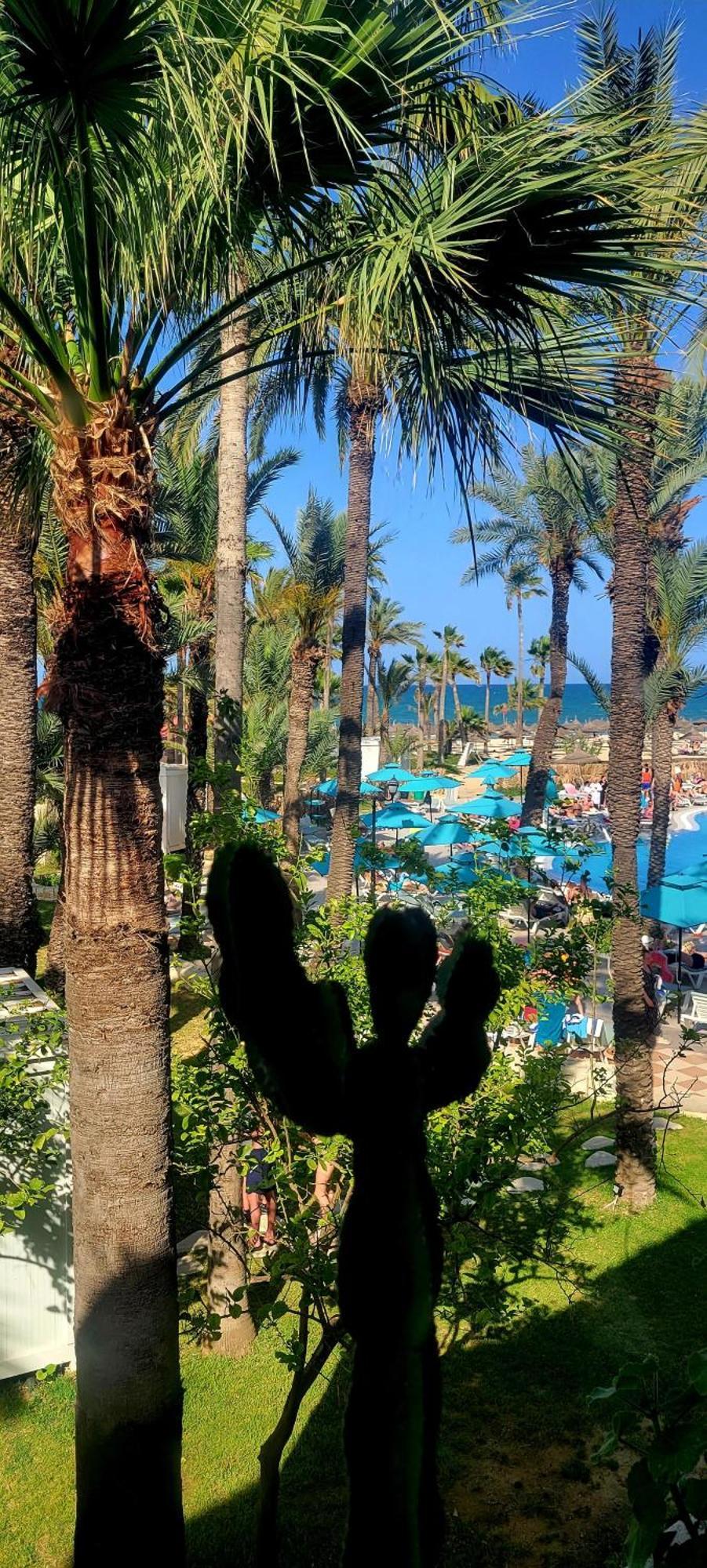 Riadh Palms- & 4* Сус